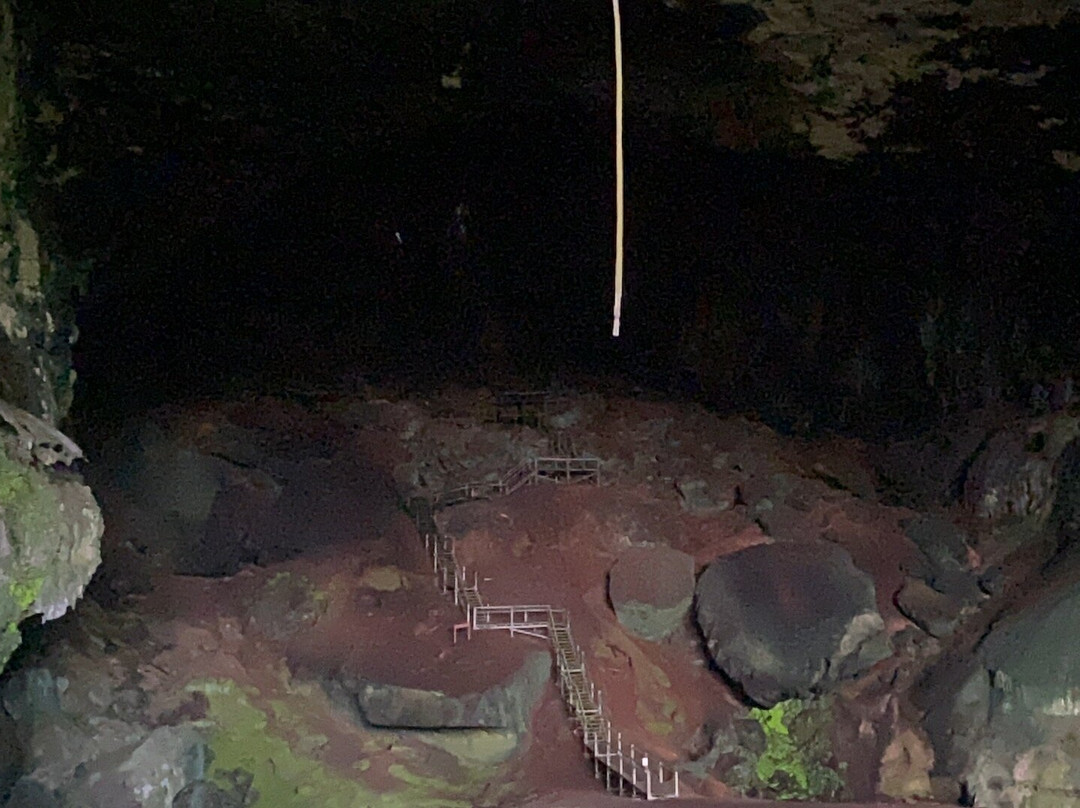 Gua Niah-美里必去景点