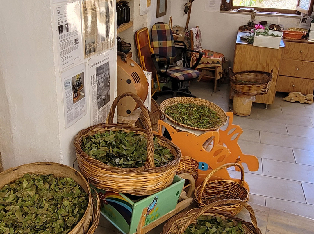 Marianna's Workshop-Maroulas必去景点