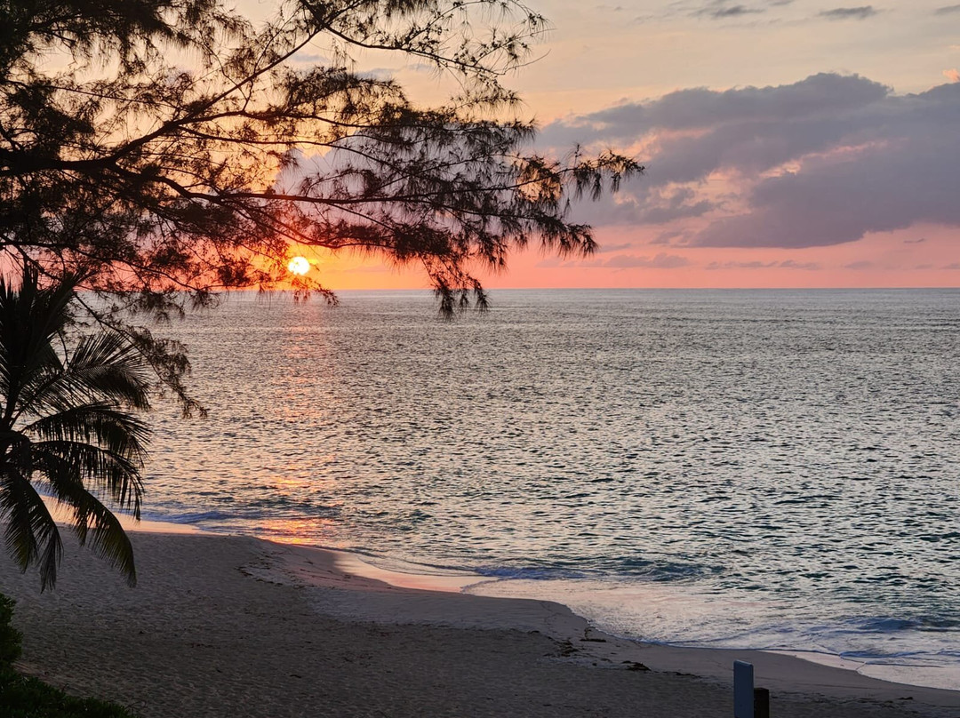 Sivananda Ashram Yoga Retreat Bahamas主图
