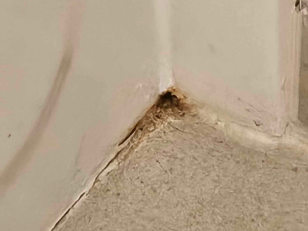 Holiday Inn Express Winchester South Stephens City By IHG主图