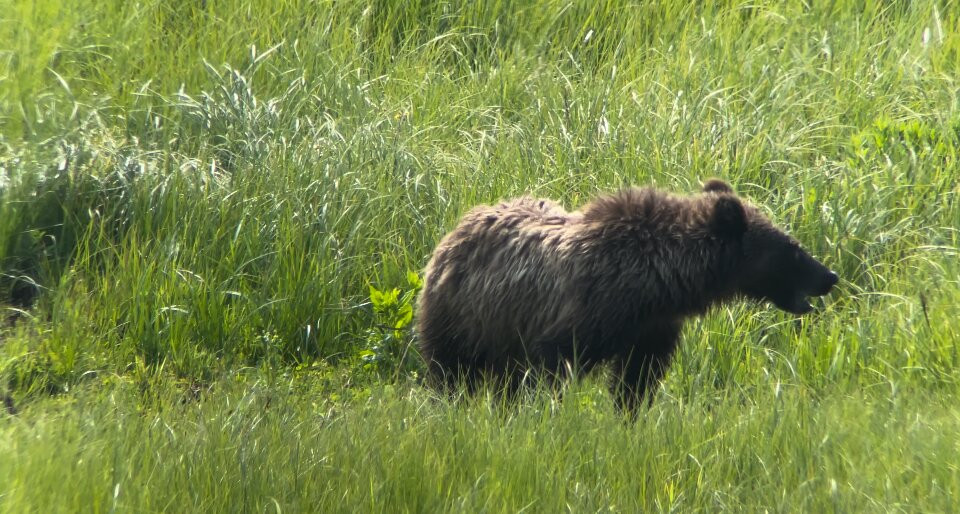 Tied To Nature-艾兰帕克必去景点
