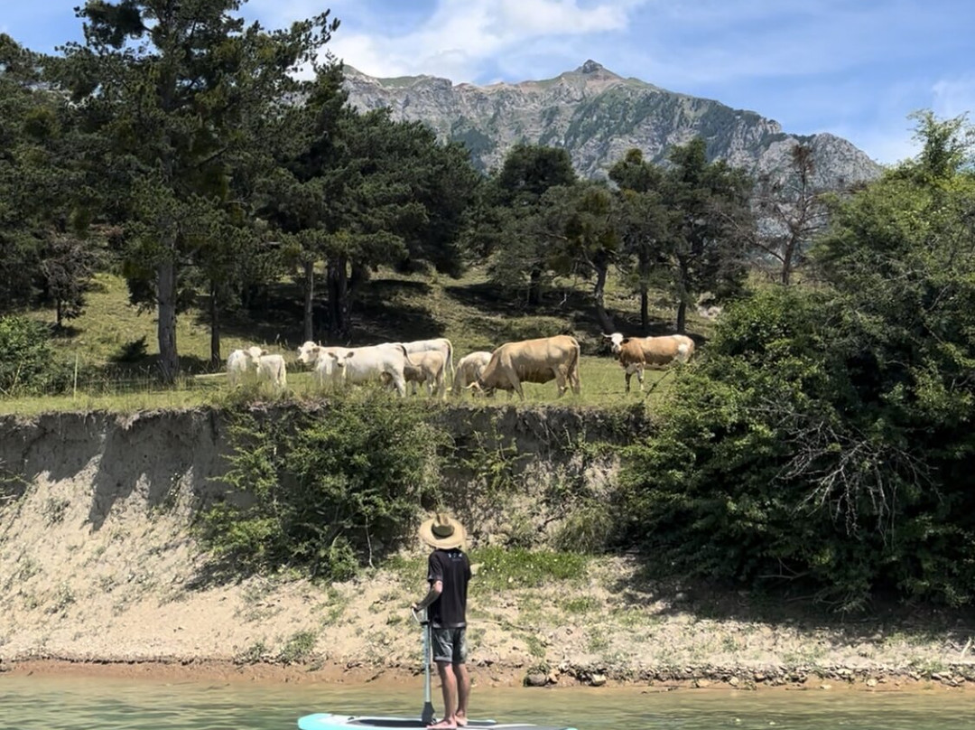 Lake Surfer景点图片