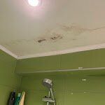 Hotel Forest Beach主图