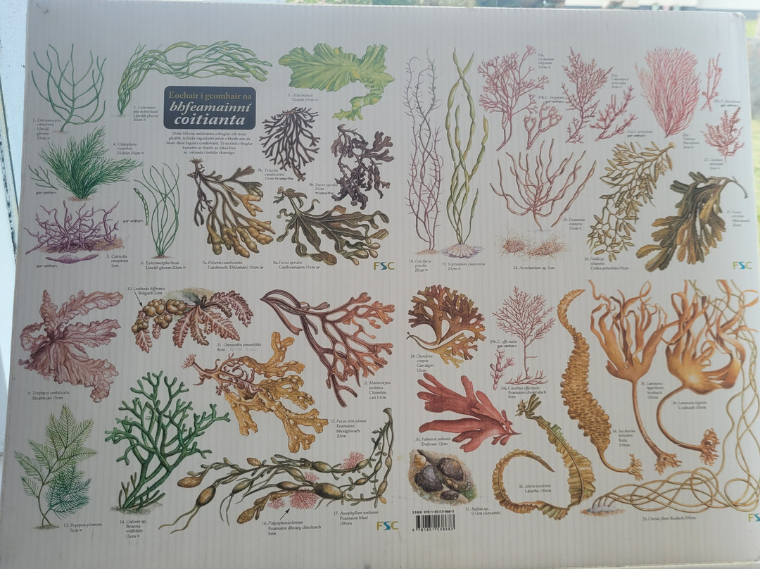 The Seaweed Centre-Lettermullan必去景点