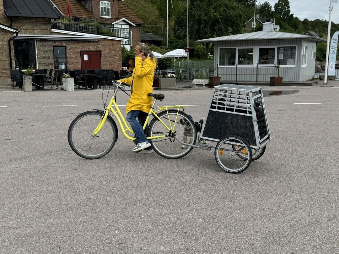 Vens Cykeluthyrning景点图片