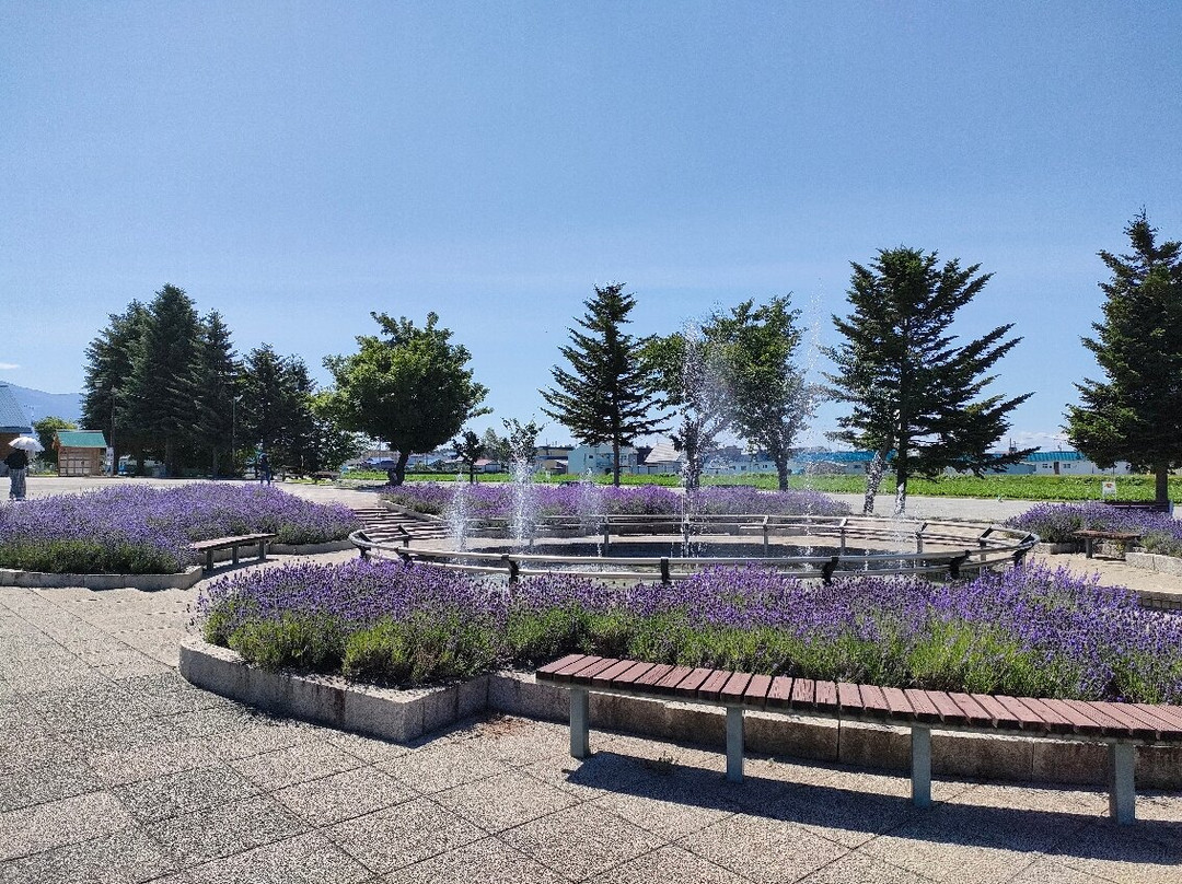 Hinode Lavender Garden-上富良野町必去景点