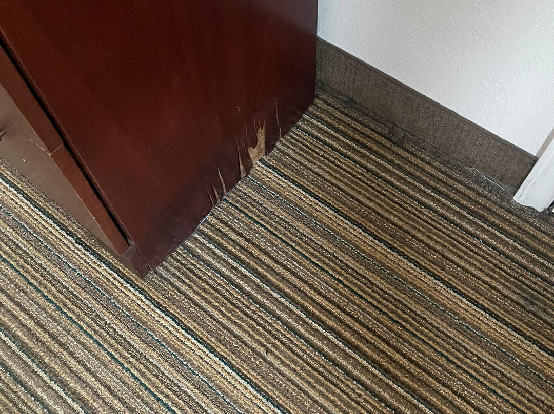 Residence Inn by Marriott Youngstown Boardman/Poland主图