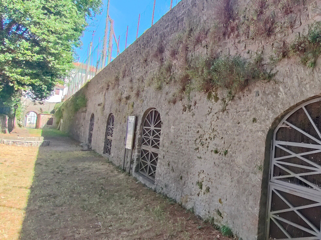 Cisternone-Albano Laziale必去景点