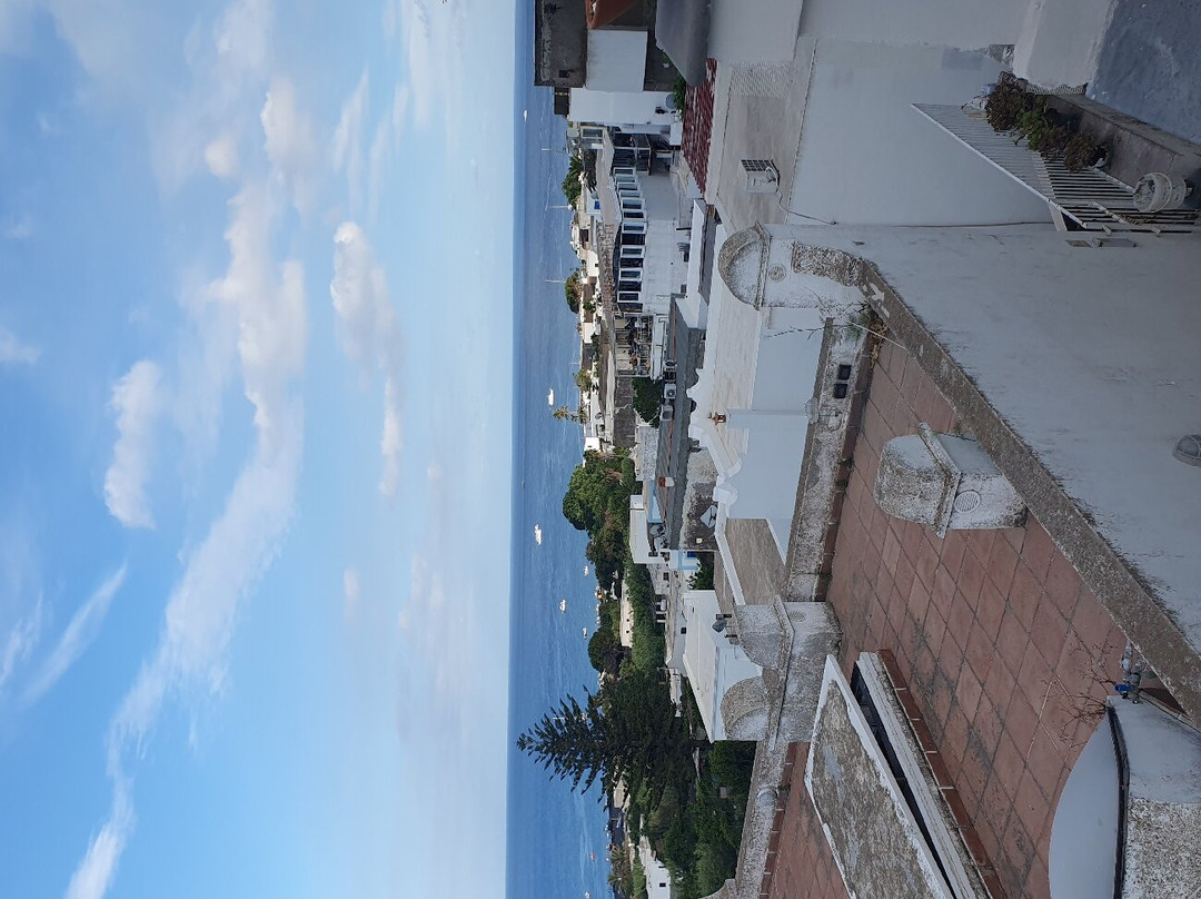 Chiesa di San Vincenzo景点图片