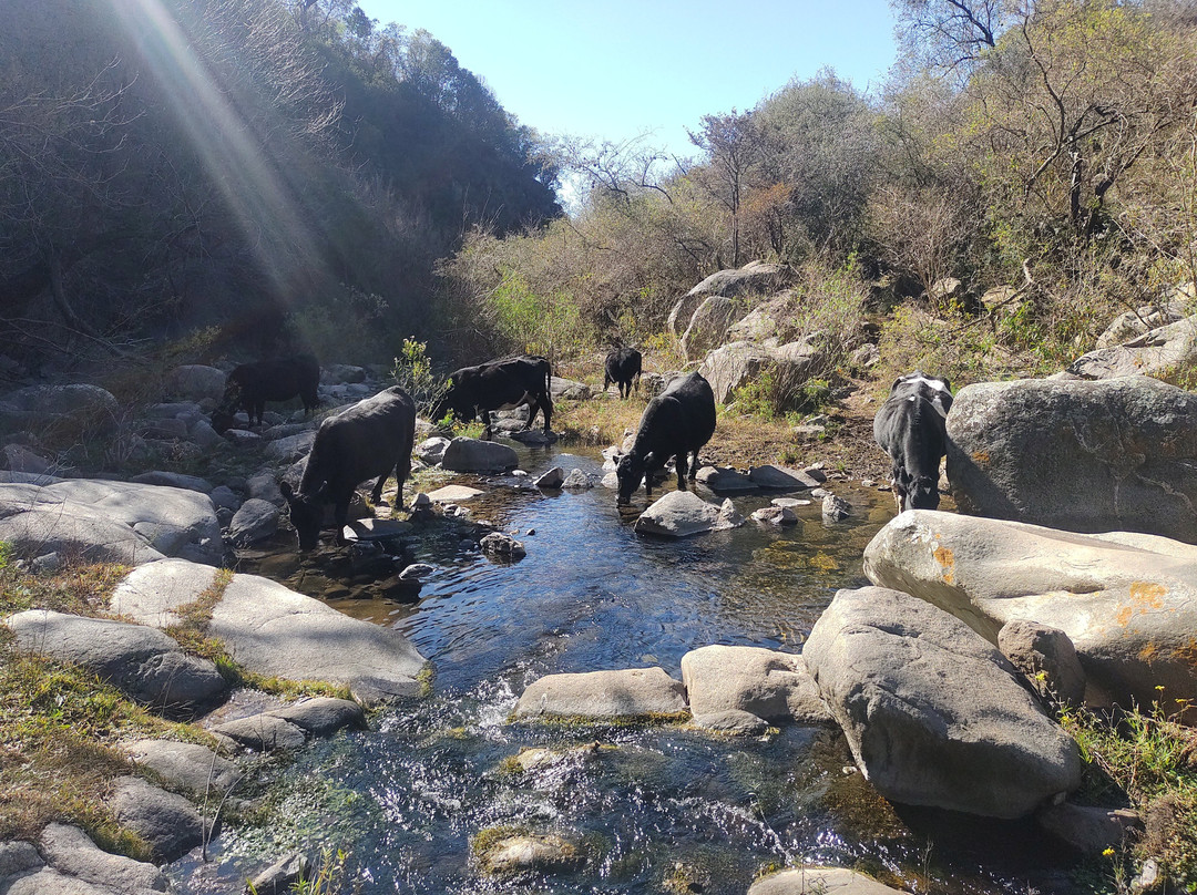 Cascada El Hornillo景点图片