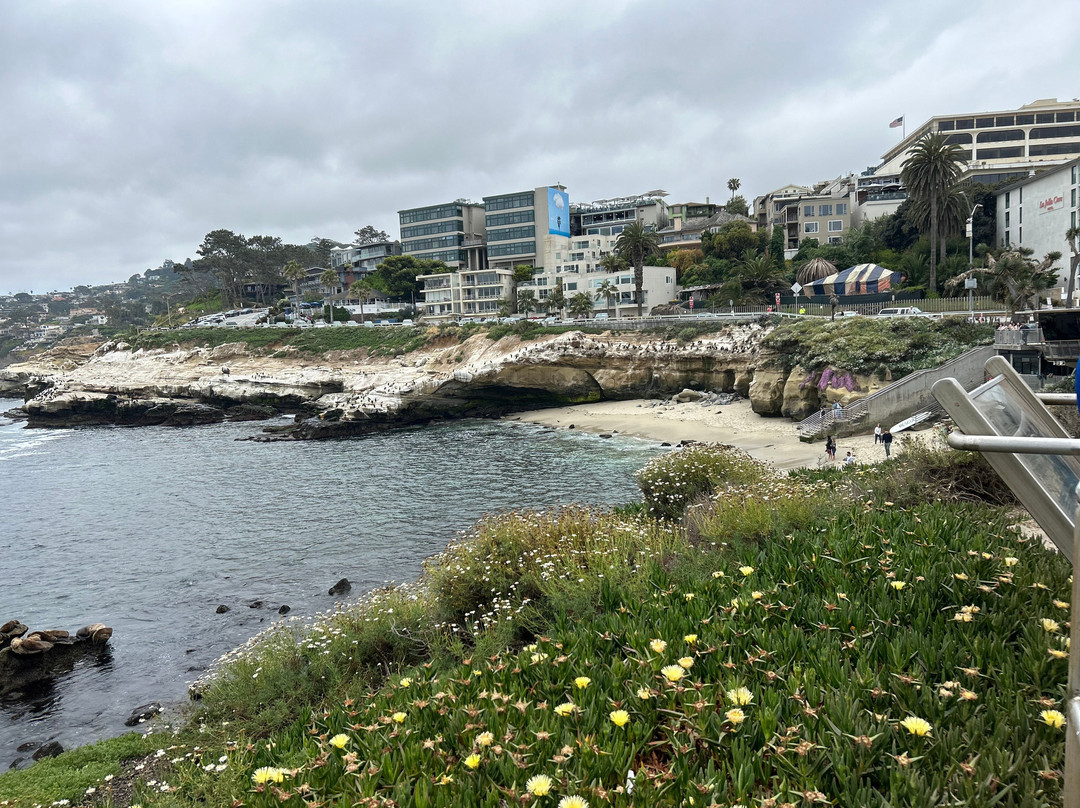 Murals of La Jolla-拉荷亚必去景点