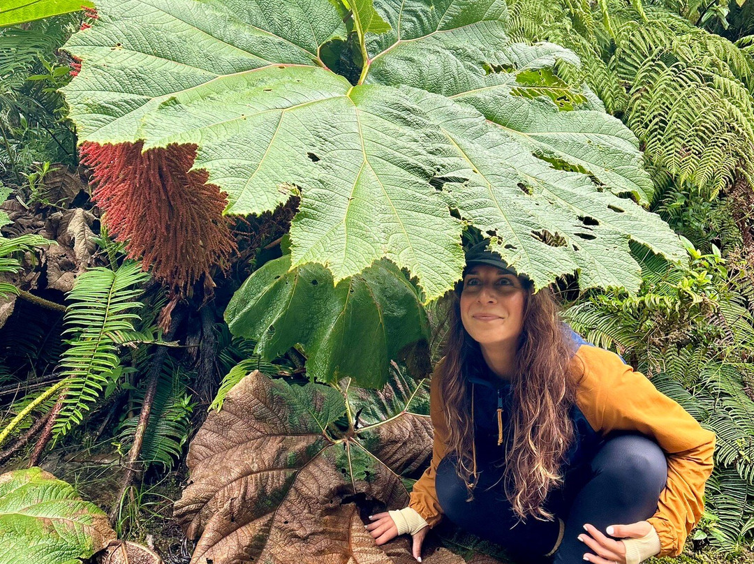 Parque Nacional del Agua Juan Castro Blanco-Bajos del Toro必去景点