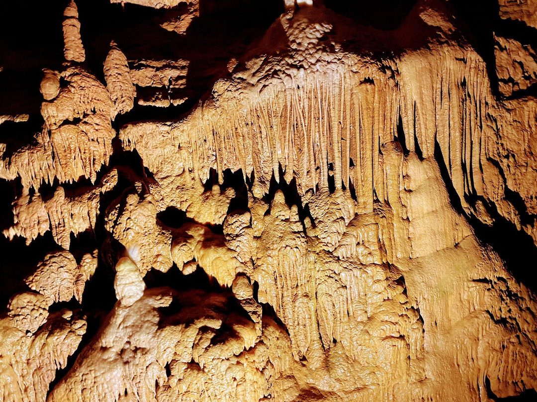 Grotte De Tourtoirac景点图片