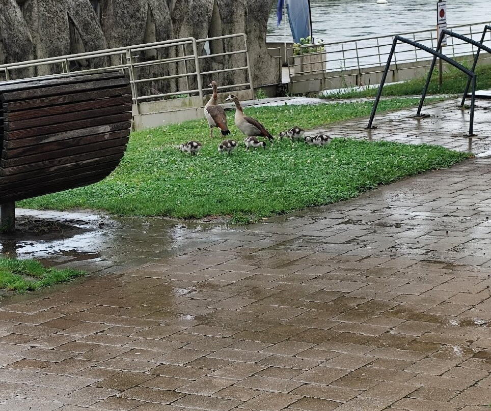 Nation Pillars-Schengen必去景点