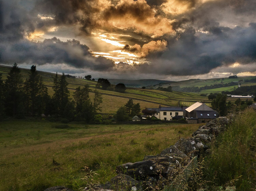 Eastview Bed & Breakfast主图