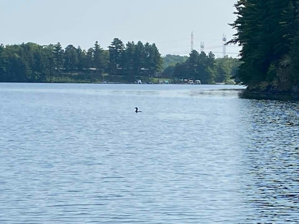 H&H Restaurant And Resort主图