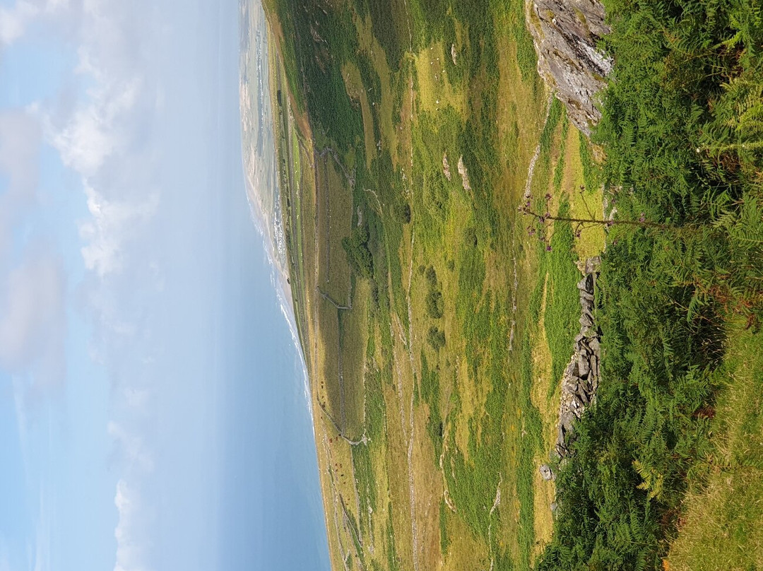 Panorama Walk景点图片