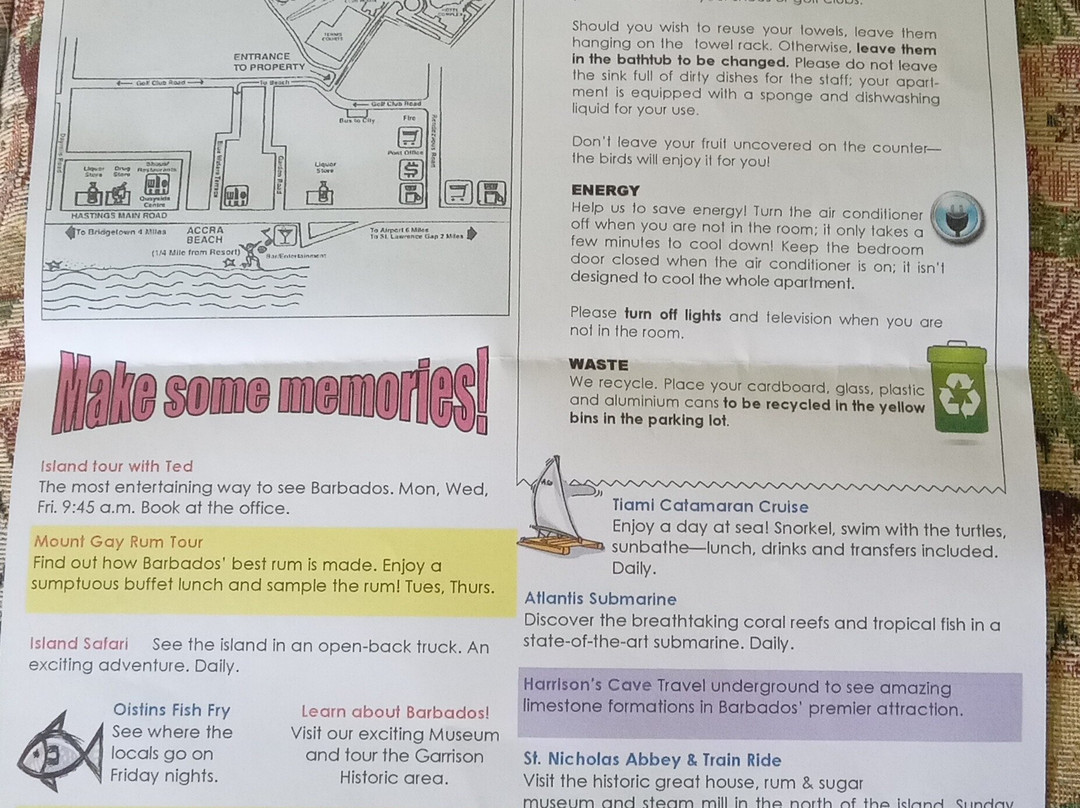 Plum Tree Club主图