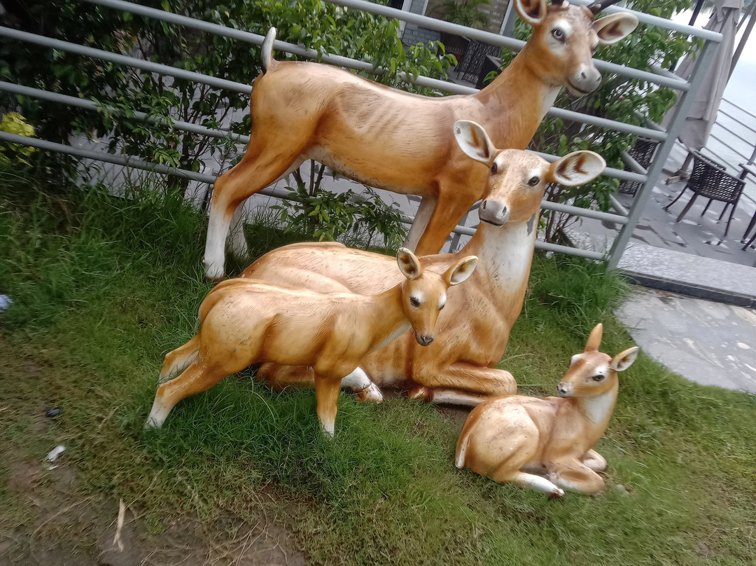 Jay Clarks Exotica主图