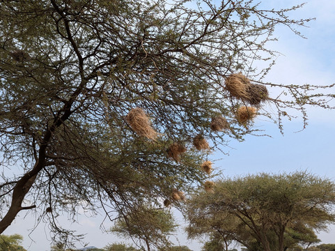 Bike2kili safaris-莫西必去景点