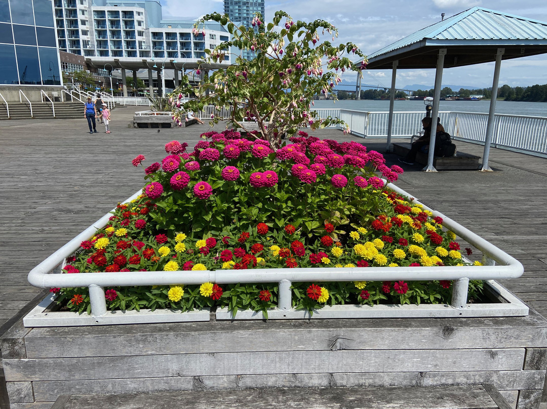 Quayside Esplanade & Boardwalk景点图片