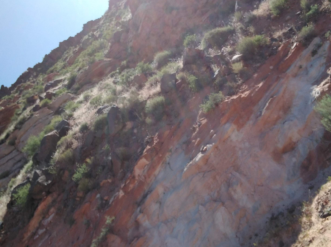 DANTE-斯普林代尔必去景点