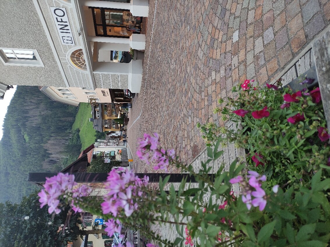 Residence Hotel Alpinum-官方