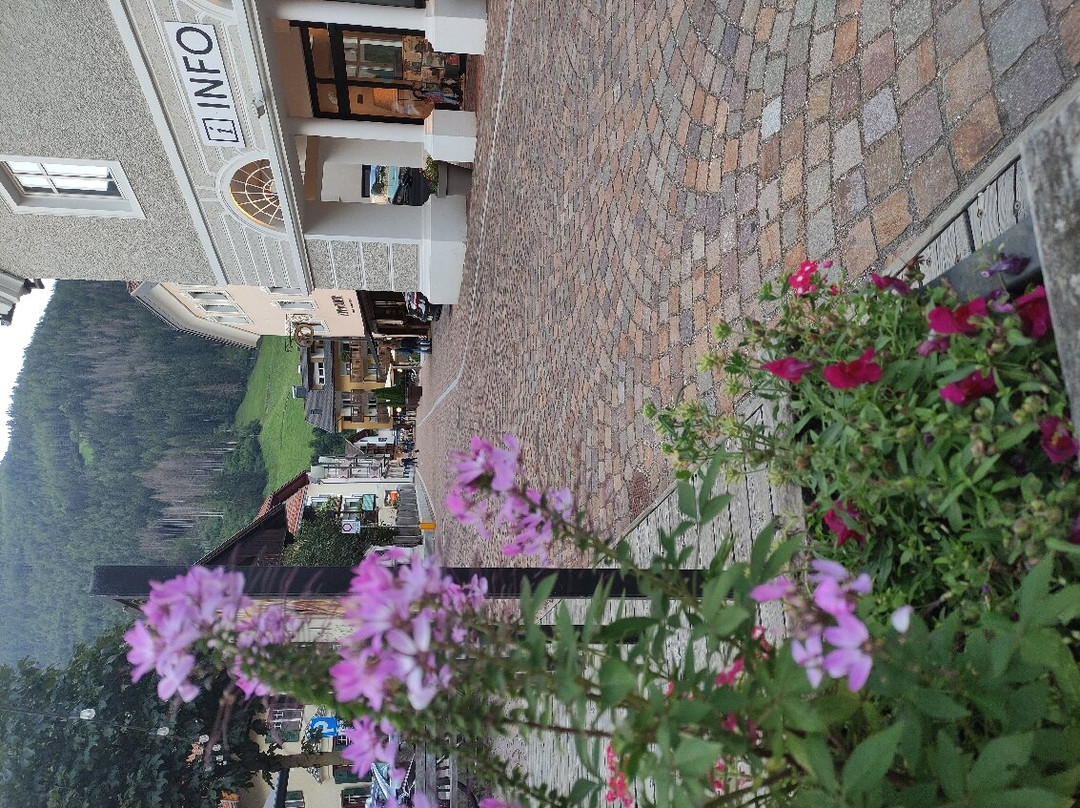 Residence Hotel Alpinum主图