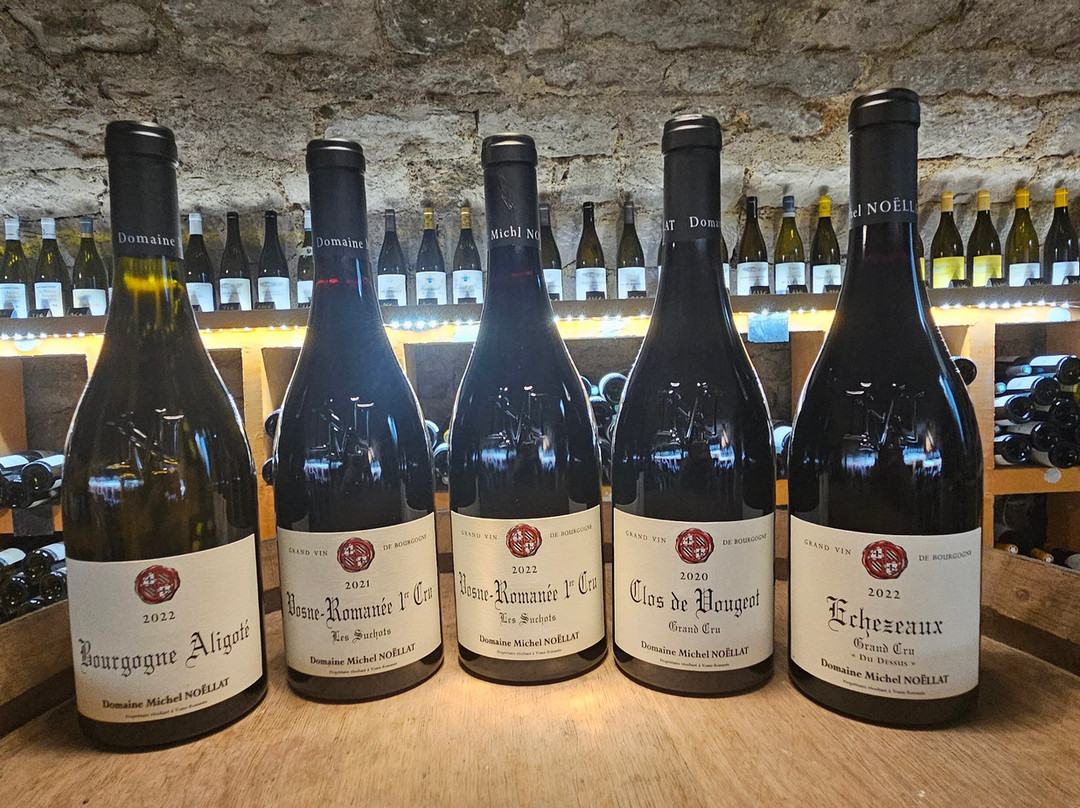 La Cave Privée, Fixin景点图片