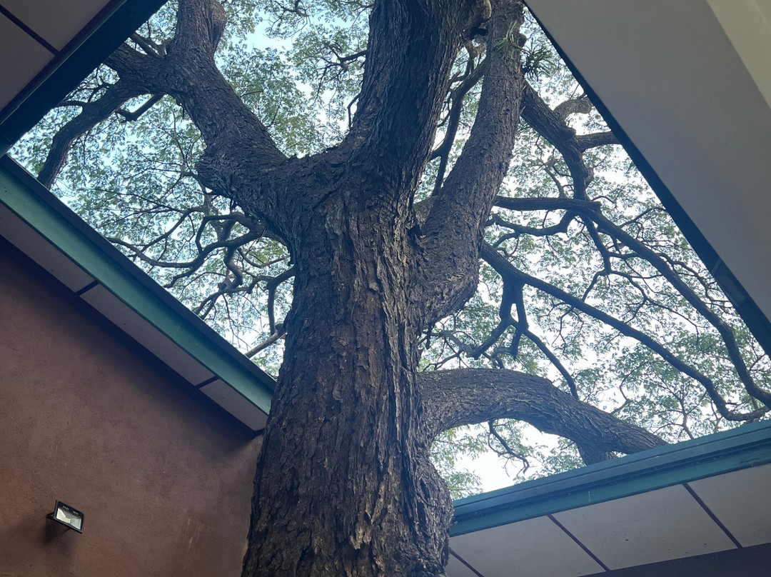 Grand & Gangula主图