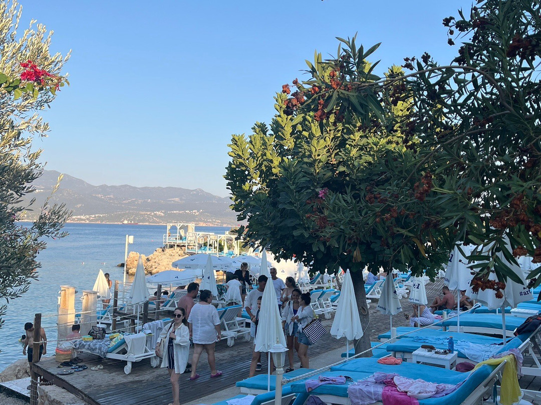 Hidayet Bay Beach景点图片
