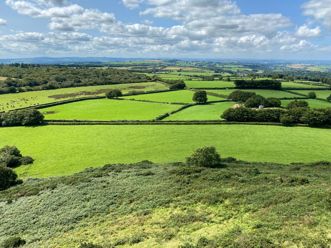 One Drake Road, Tavistock, Devon.主图