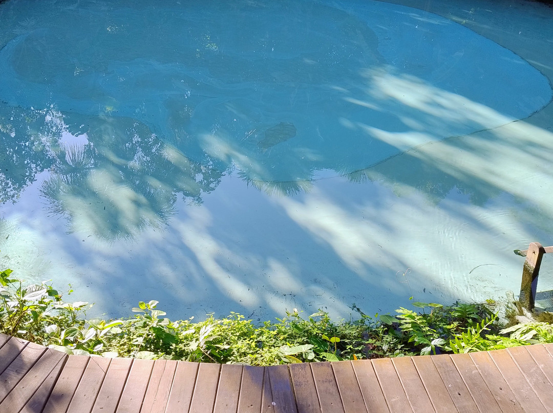 Feira da 304 Sul-Palmas必去景点