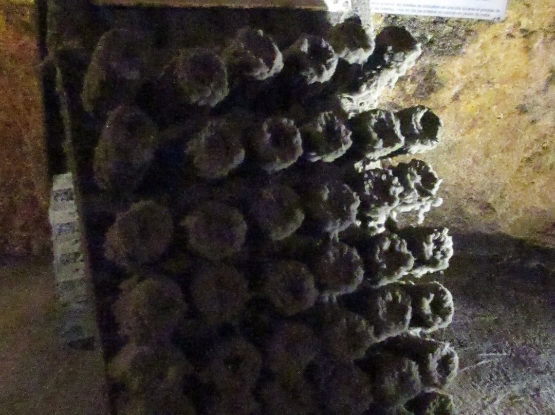 Caves Veuve Amiot景点图片