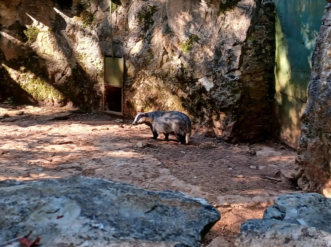 Parc Animalier de Gramat-Gramat必去景点