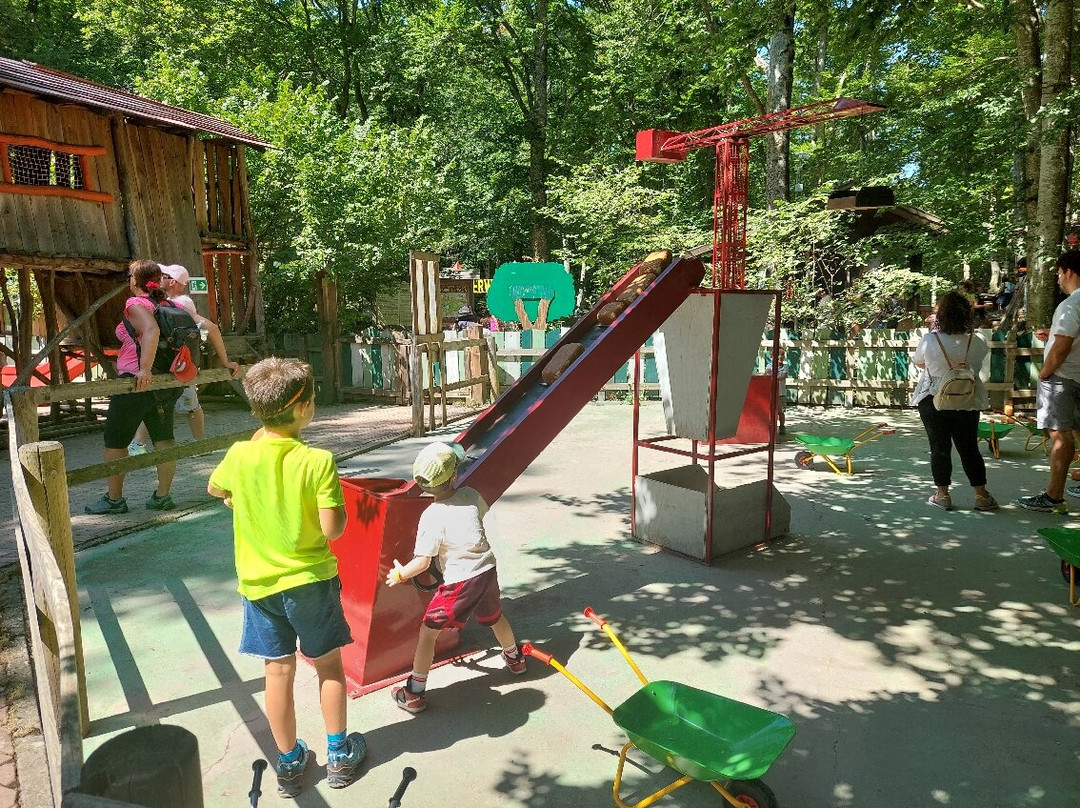 Parco Avventura Cerwood景点图片