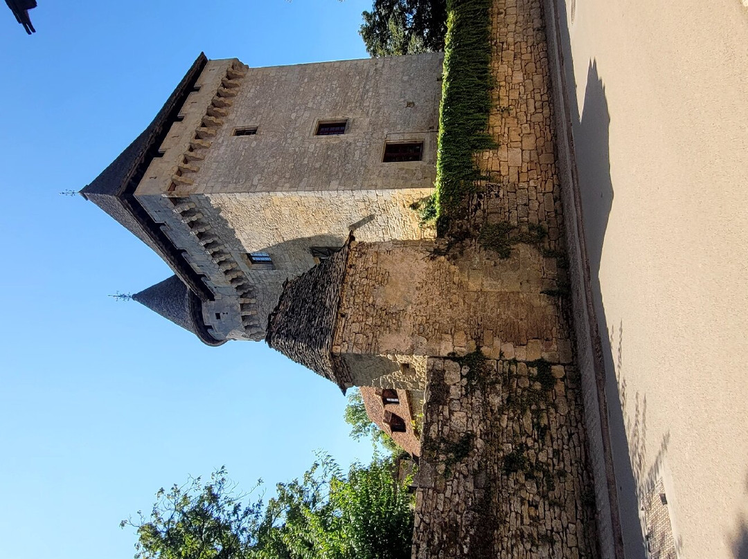 The Romanesque Church-Saint-Leon-sur-Vezere必去景点