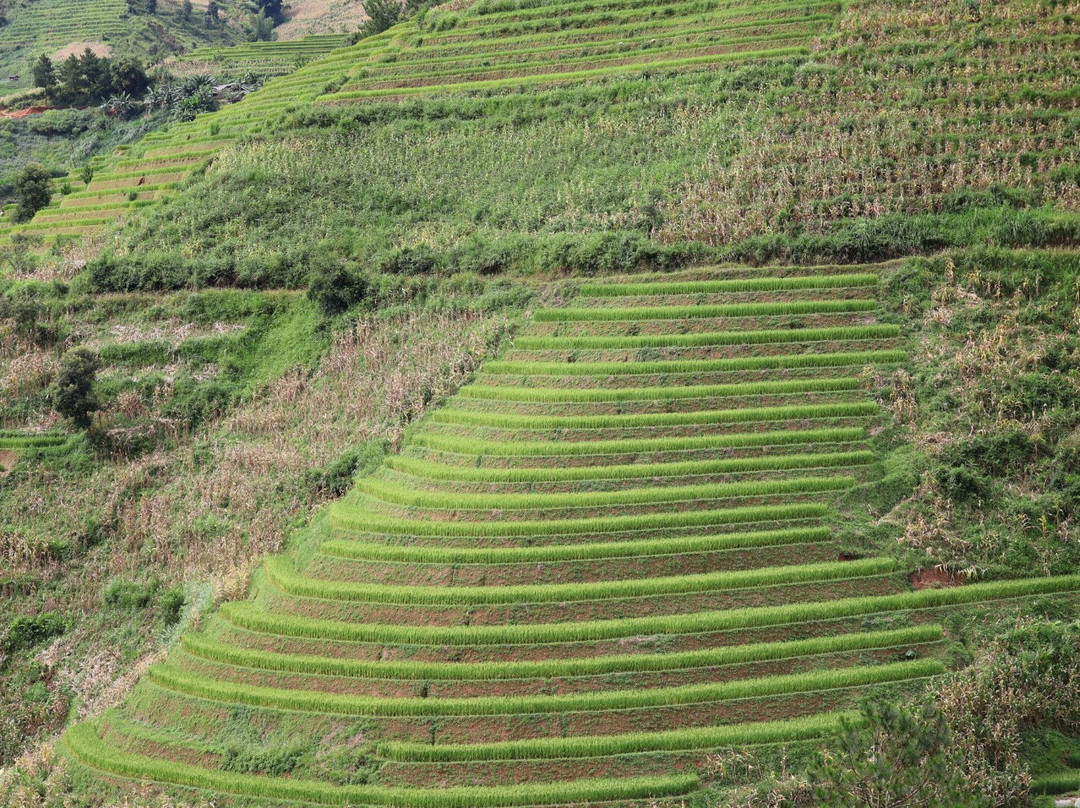 Trekking Tour Mu Cang Chai-Mu Cang Chai必去景点