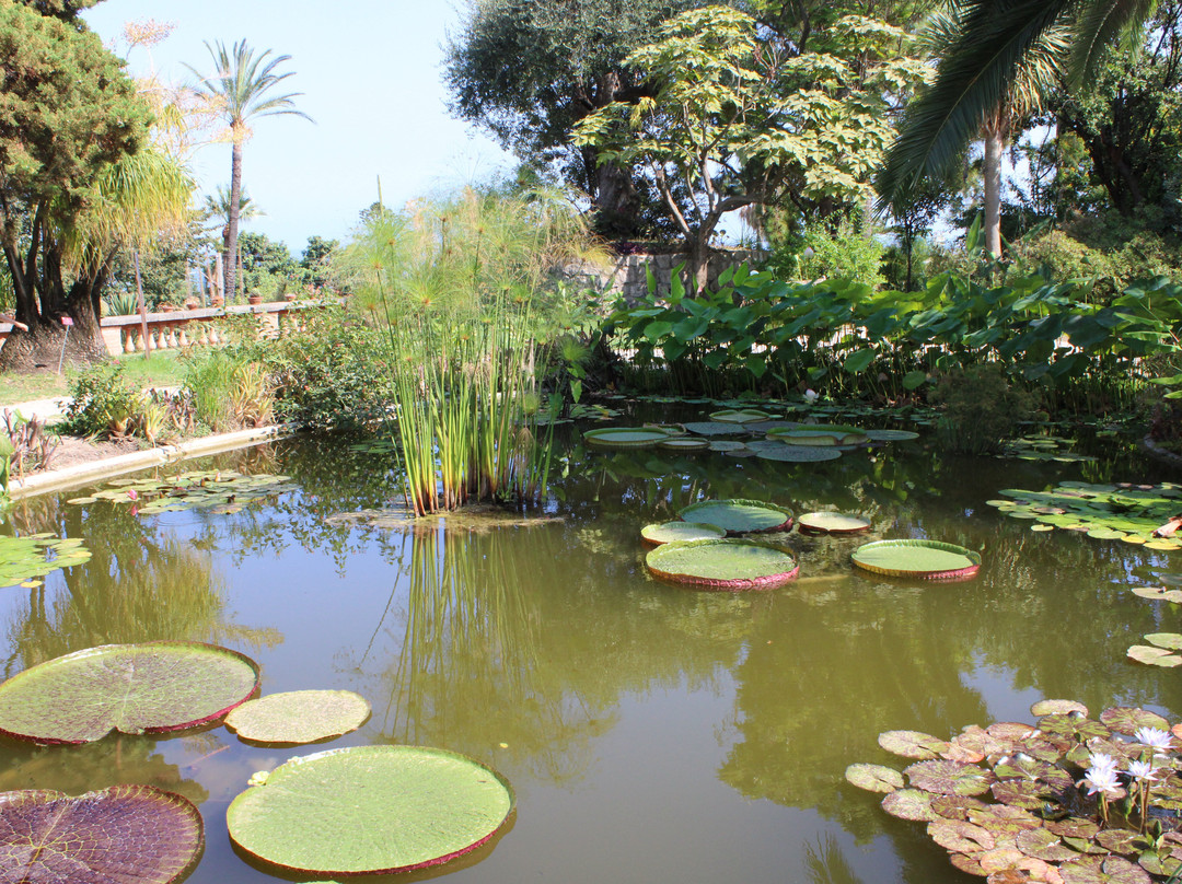 Jardin Botanique Val Rahmeh - Menton景点图片