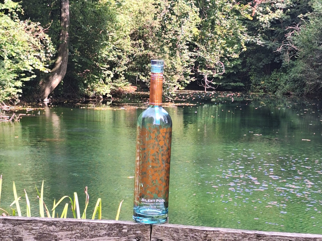 Silent Pool Distillers景点图片