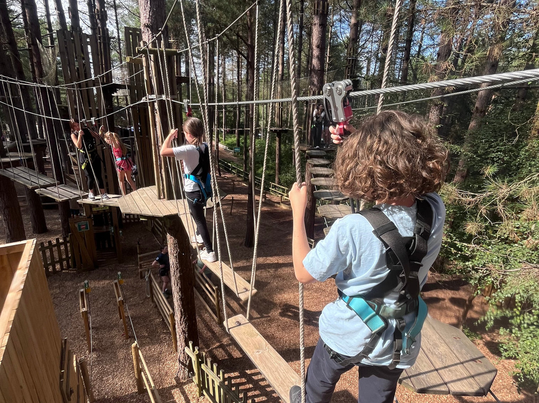 Go Ape Moors Valley景点图片
