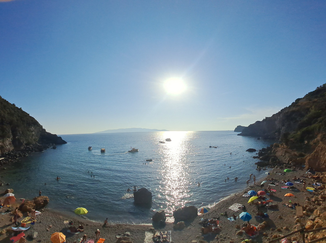 Cala del Gesso景点图片