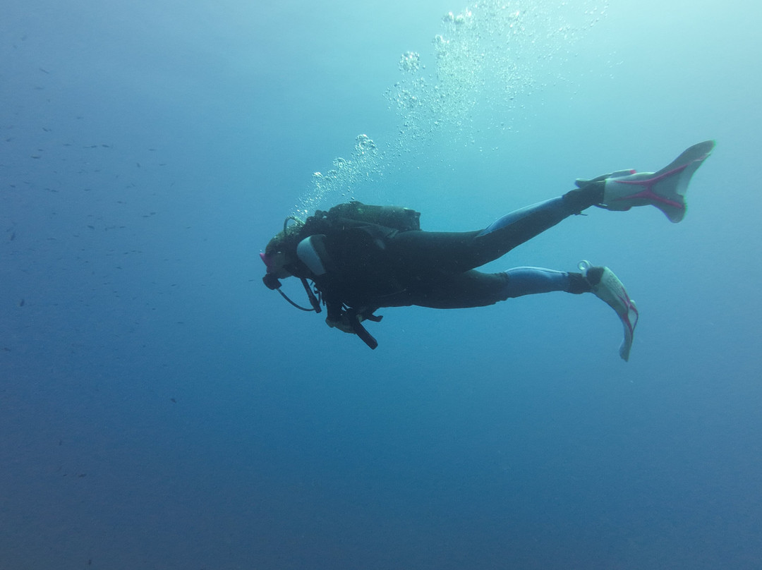 Seavery Diving Center-Kassandra必去景点