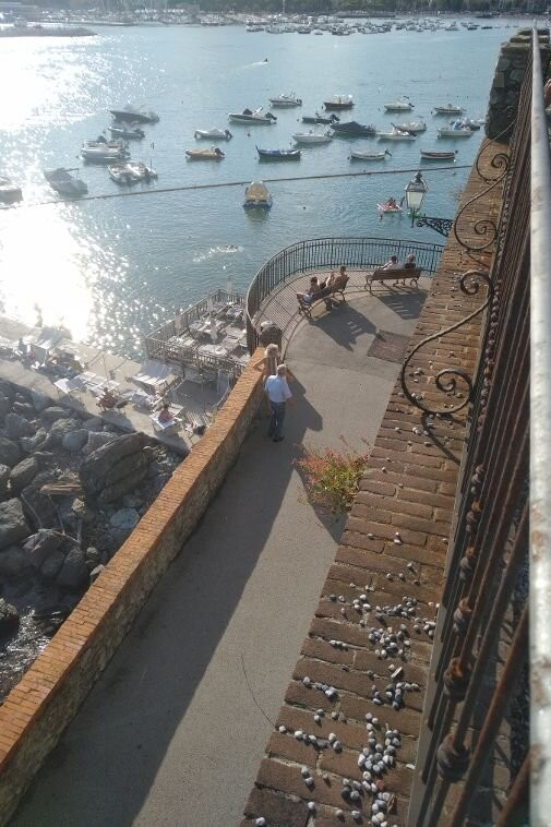 Terrazza Panoramica Di Via Avenaggi-拉帕洛必去景点