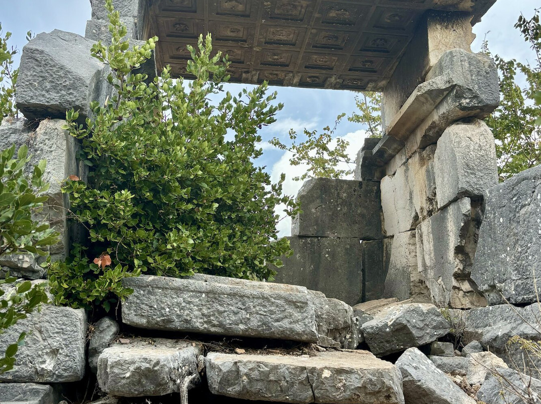 Sidyma Antik Kenti景点图片