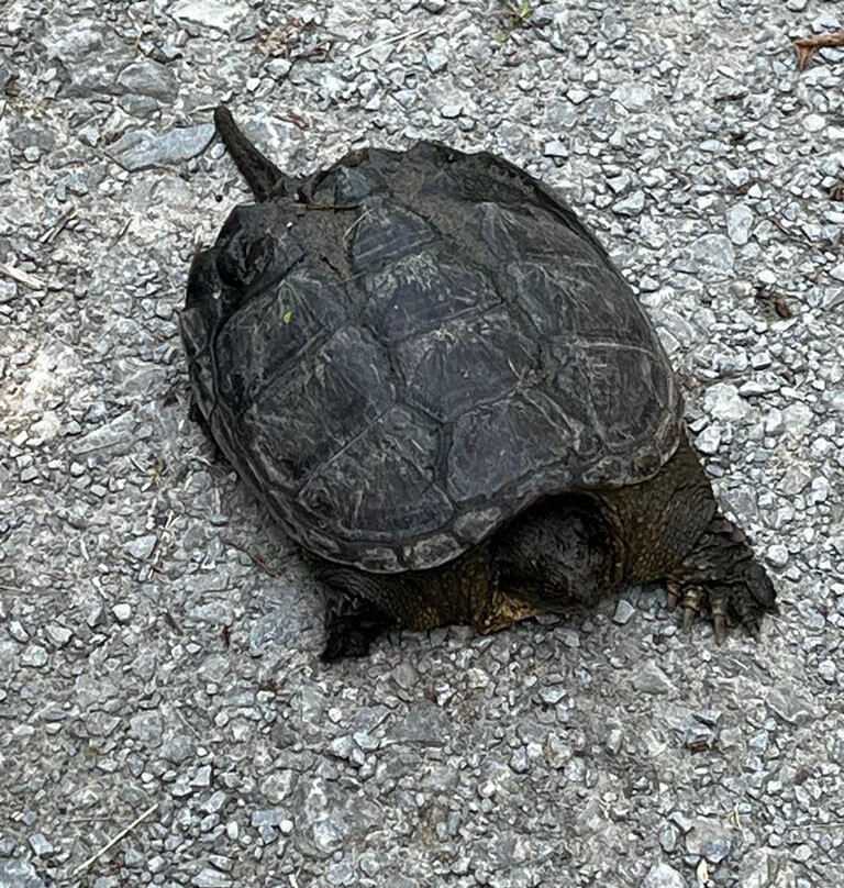 Rouge National Urban Park-多伦多必去景点