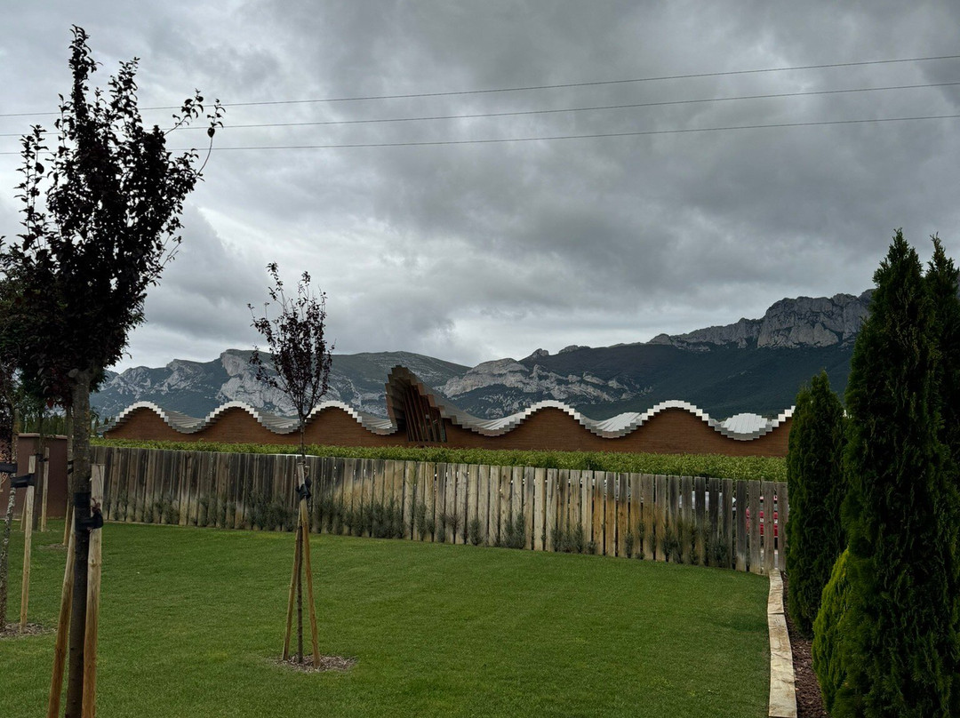 Bodegas Javier San Pedro Ortega-拉瓜迪亚必去景点