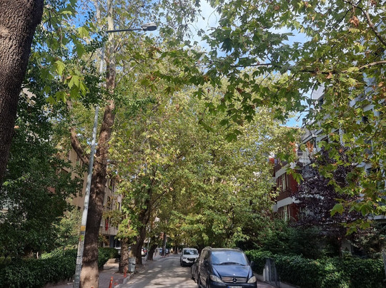 Degirmenburnu Tabiat Parki (Mesire Yeri)-Heybeliada必去景点