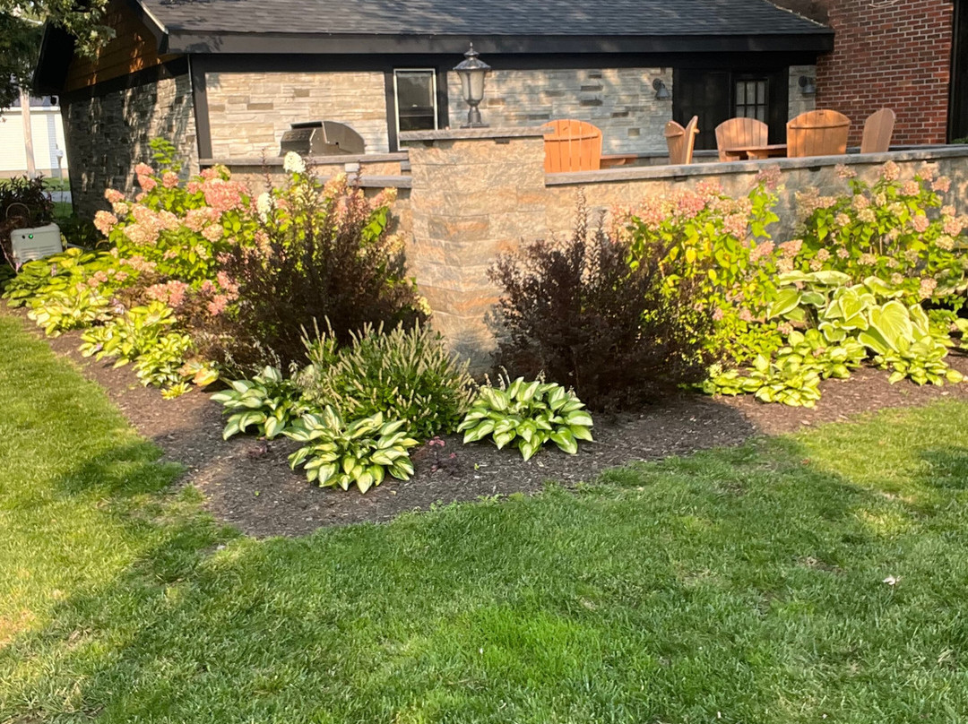 Candlelight Guest House主图