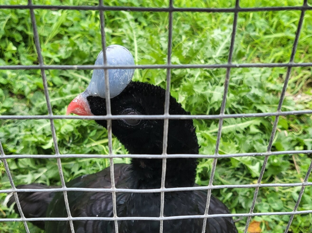 Axe Valley Wildlife Park-Axminster必去景点